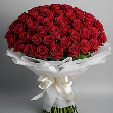 Букет 101 Красная роза Блэк Мэджик в Назарьево