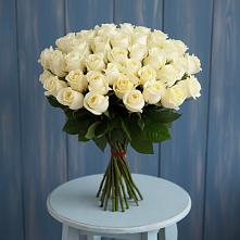 Букет 51 Белая роза Эдлесс Лав #REPLACE_PRED# Назарьево