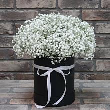 Цветочная композиция из Гипсофила в шляпной коробке #REPLACE_PRED# Назарьево