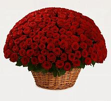 Премиум букет из: Розы в Назарьево